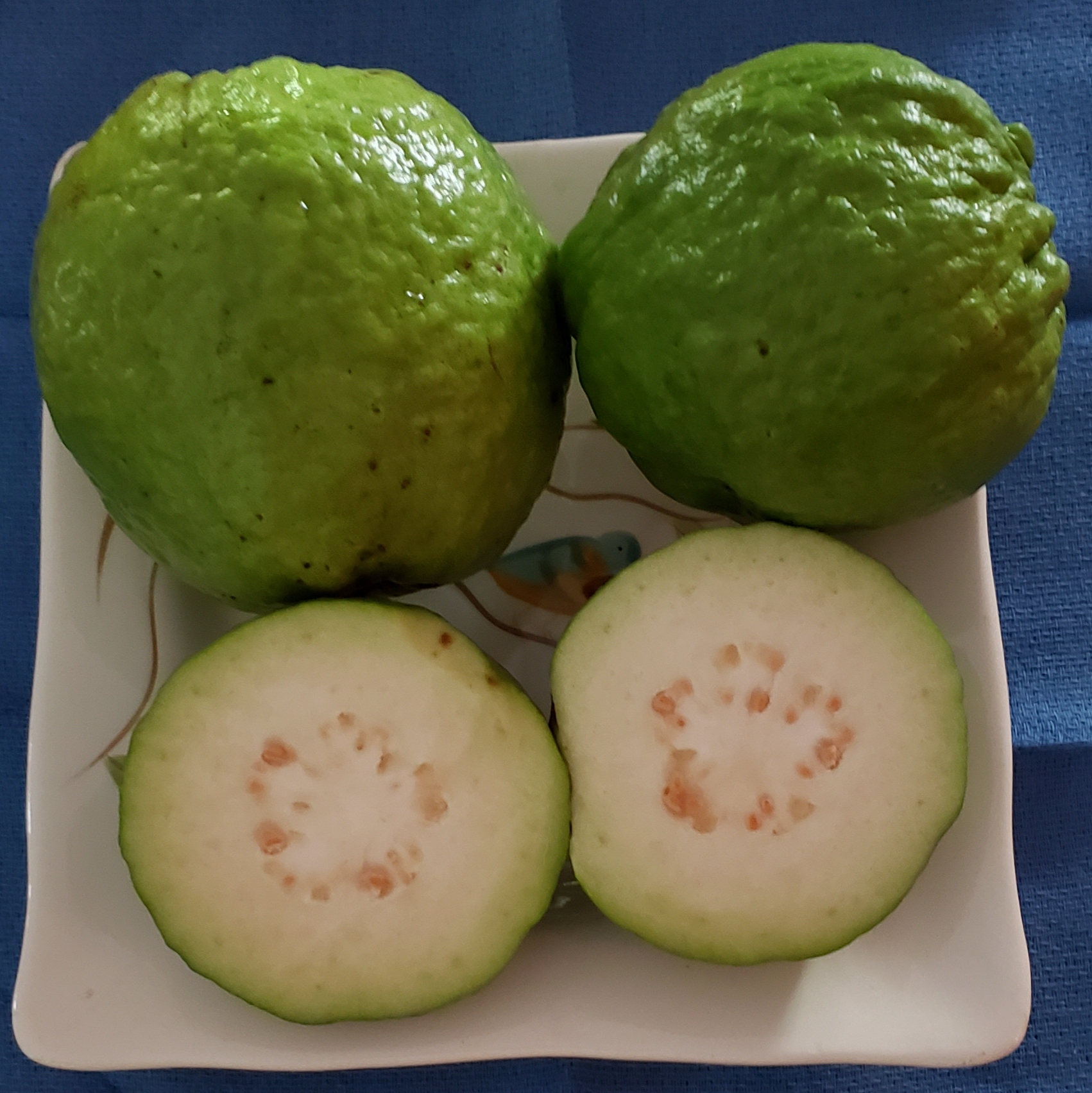 white Thai guava